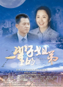 乒坛最新排名出炉：梁靖崑跌出前20，张本智和升到第2松岛辉空第6